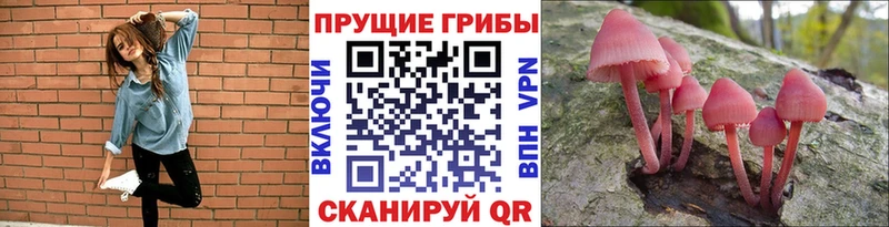 купить цена Зеленокумск Псилоцибиновые грибы прущие грибы