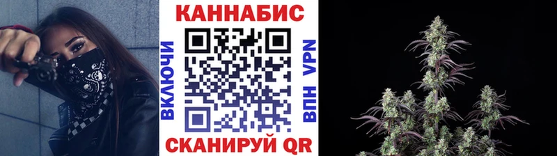 Шишки марихуана сатива  Зеленокумск 